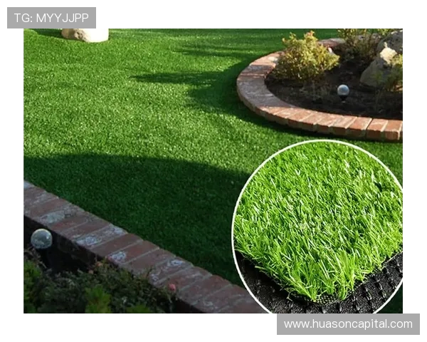 西安国际足球中心草种选择冷季型 夏季进入半休眠状态